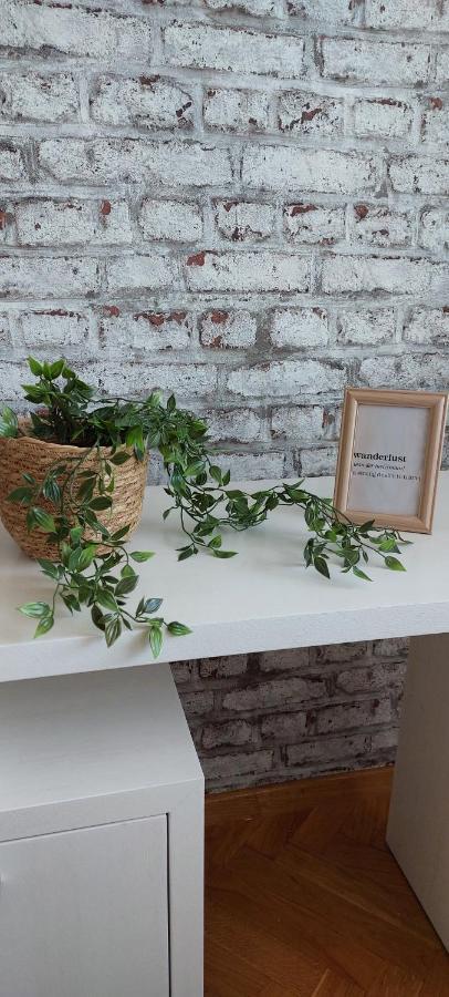 Plavi Zec Apartment Subotica Ngoại thất bức ảnh