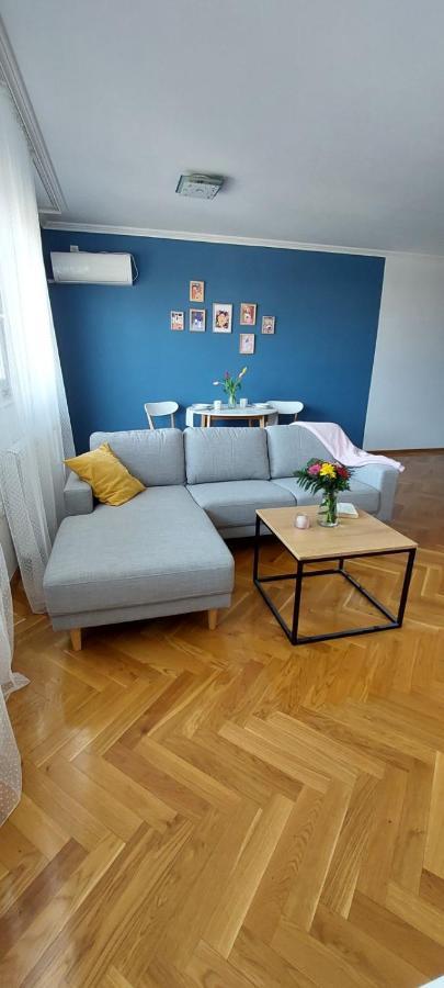 Plavi Zec Apartment Subotica Ngoại thất bức ảnh